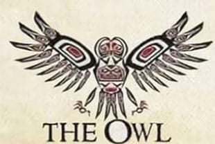 The Owl Zodiac Sign
