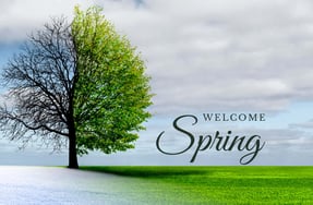 Hello Spring: Nice to Feel You