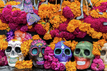 Día de Los Muertos Flowers and Calaveras