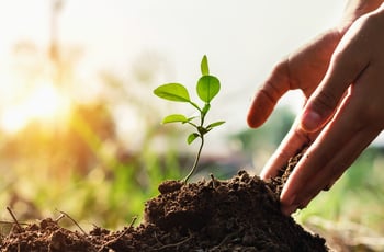 Happy Tu B'Shevat (ט״ו בשבט)