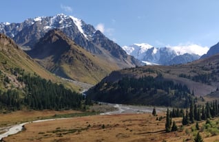 Central Asia Landscape